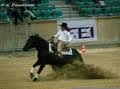 images (1)